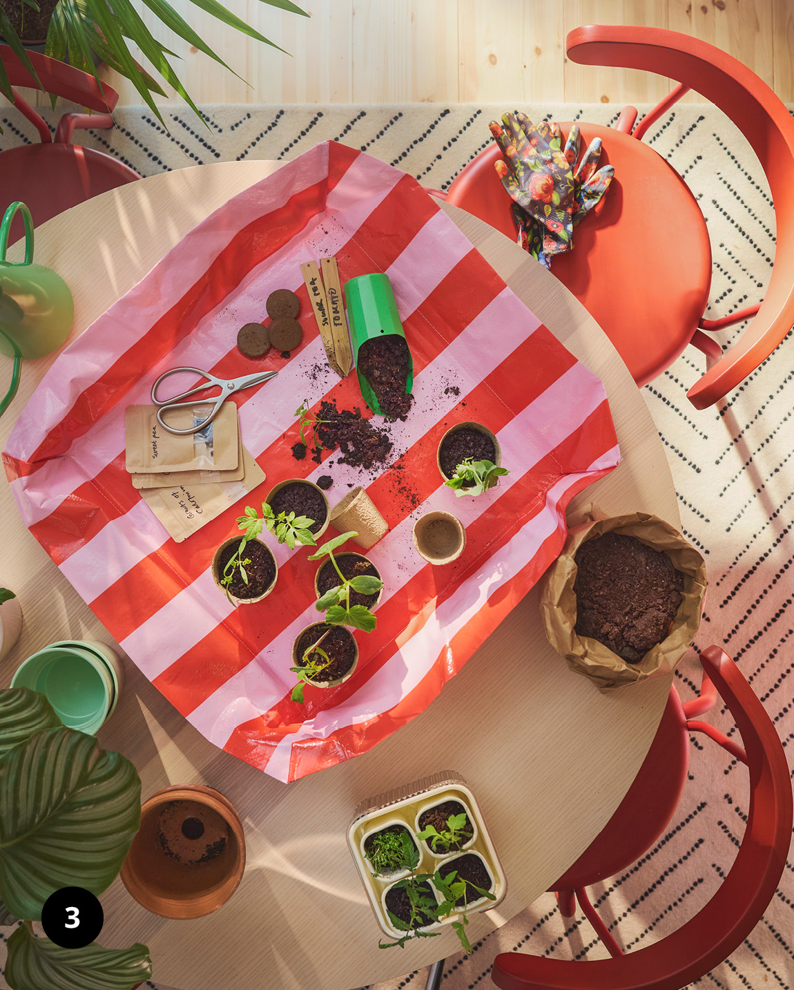Pohled shora na sazeničky a sadu na pěstování DOFTRIPS na červeno-růžové podložce.dling pots and potting mix on a red‑and‑white mat.