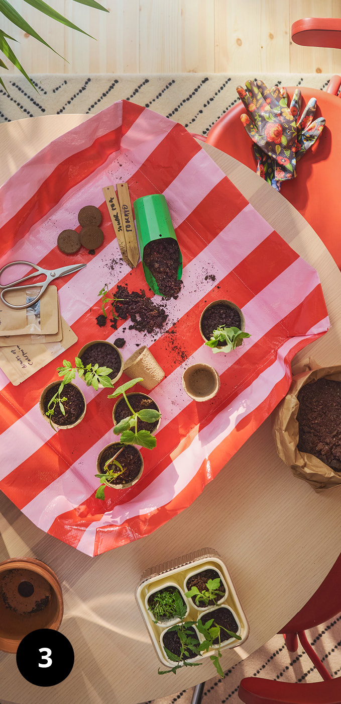 Pohled shora na sazeničky a sadu na pěstování DOFTRIPS na červeno-růžové podložce.dling pots and potting mix on a red‑and‑white mat.