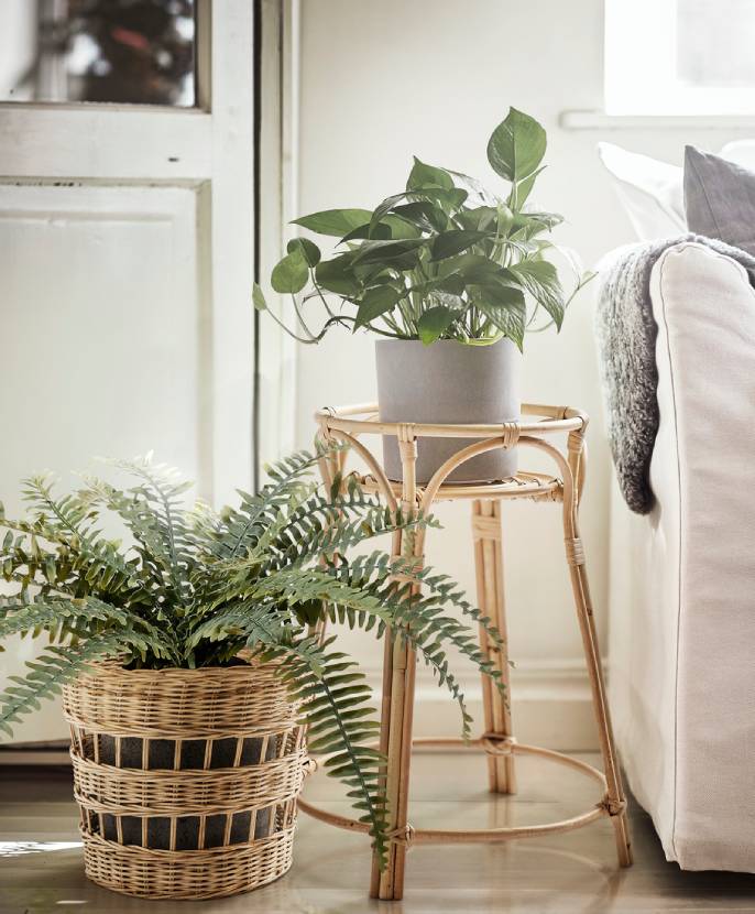 TOLKNING, stojan na rostliny.