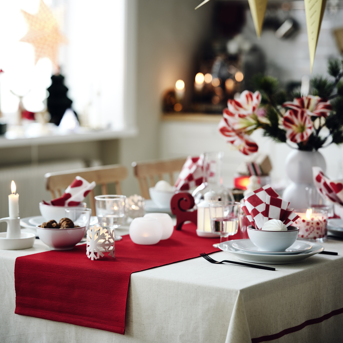 VINTERFINT, běhoun.