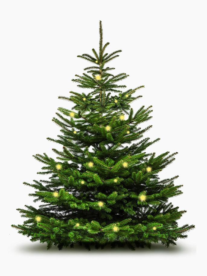 Vánoční jedlička.