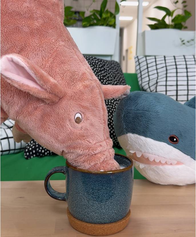 Každodenní pomocníci z IKEA.