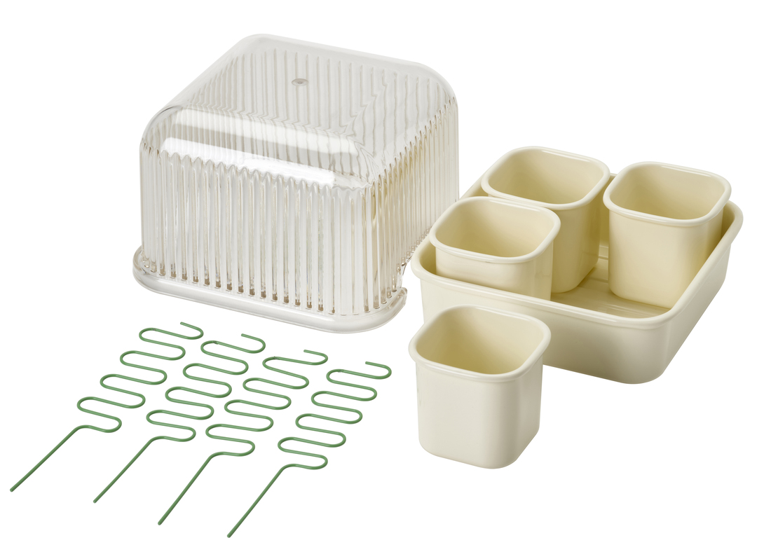 DOFTRIPS, sada na pěstování.