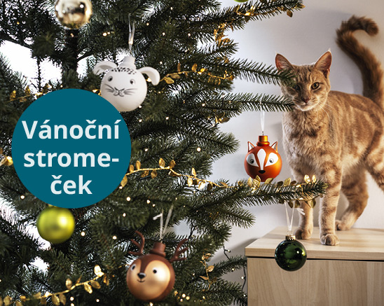 Za vánoční stromeček