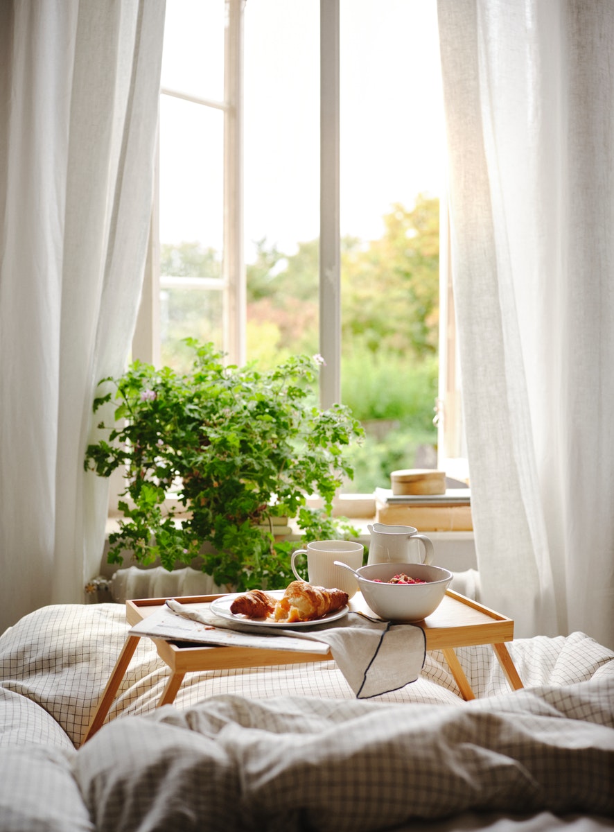 Breakfast in bed